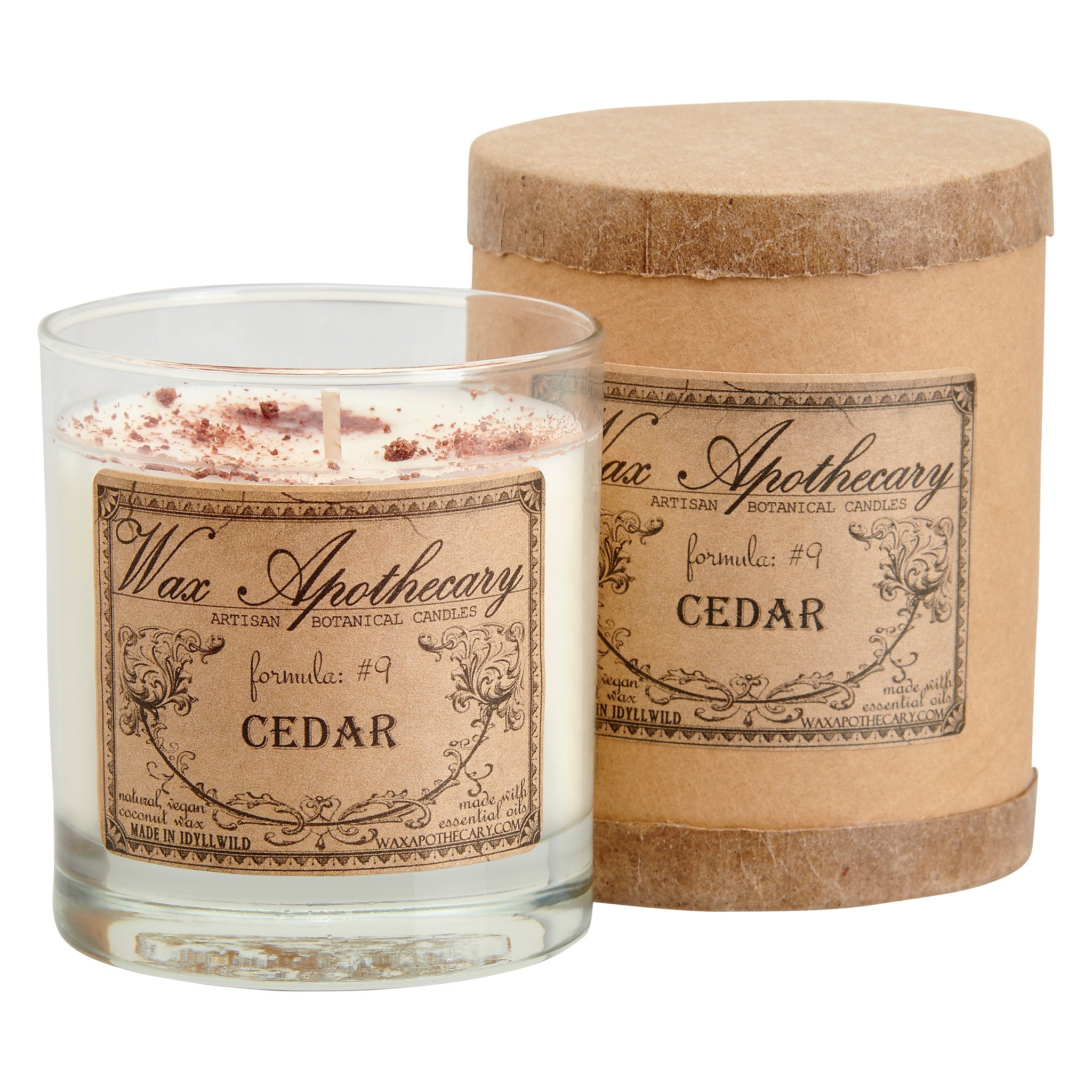 Cedar 7 oz Botanical Candle in Scotch Glass