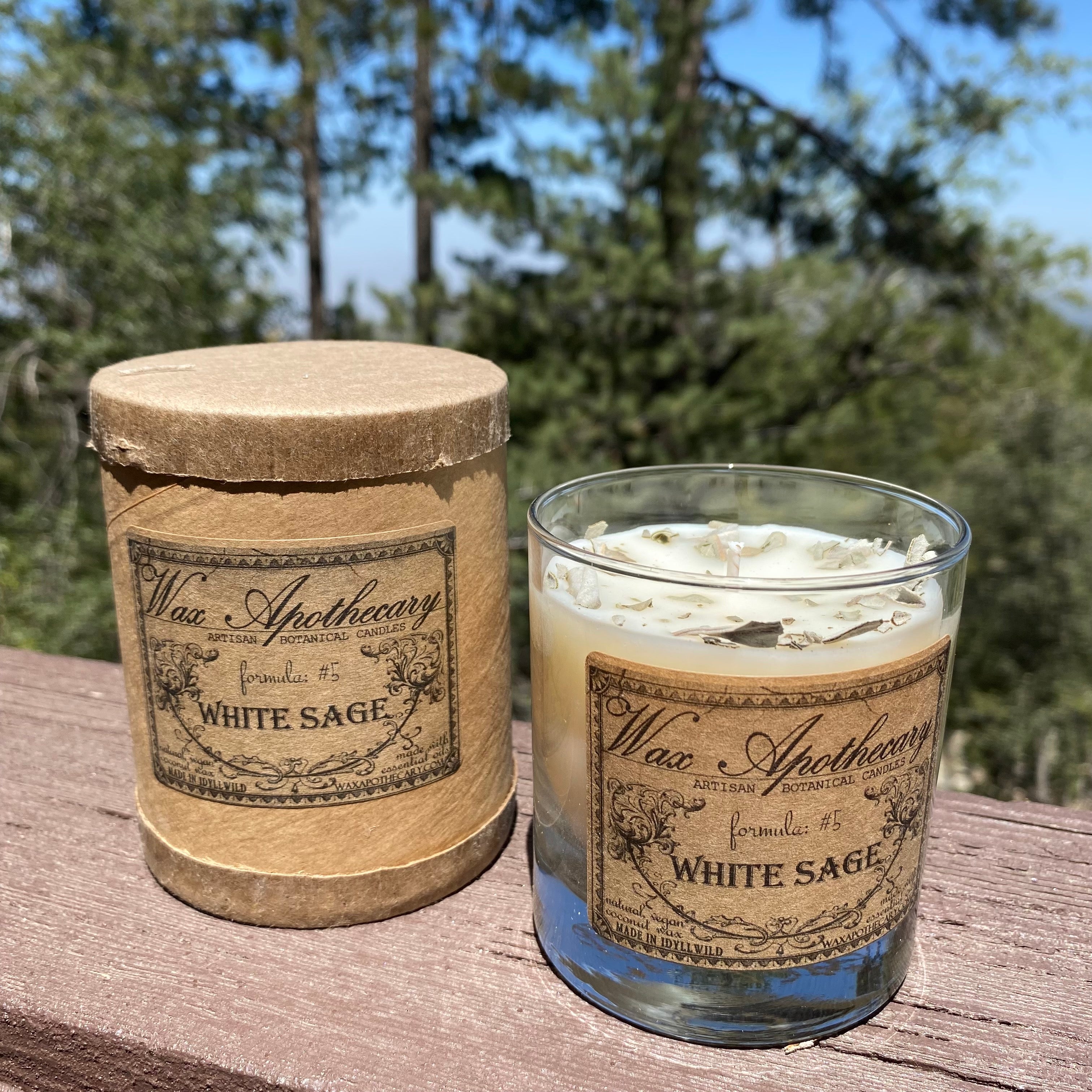 White Sage 7 oz Botanical Candle in Scotch Glass