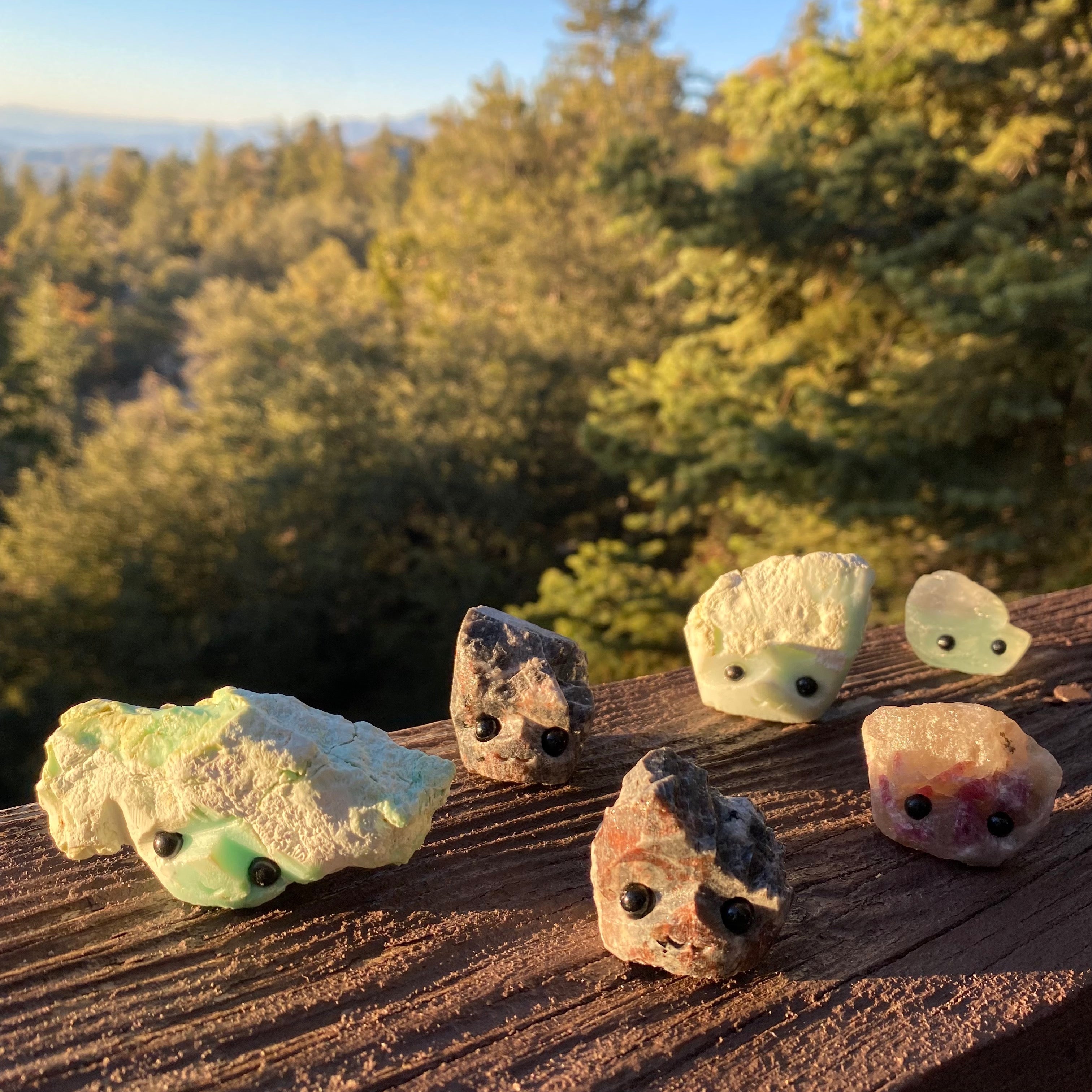 Stone Buddies & Rock Friends