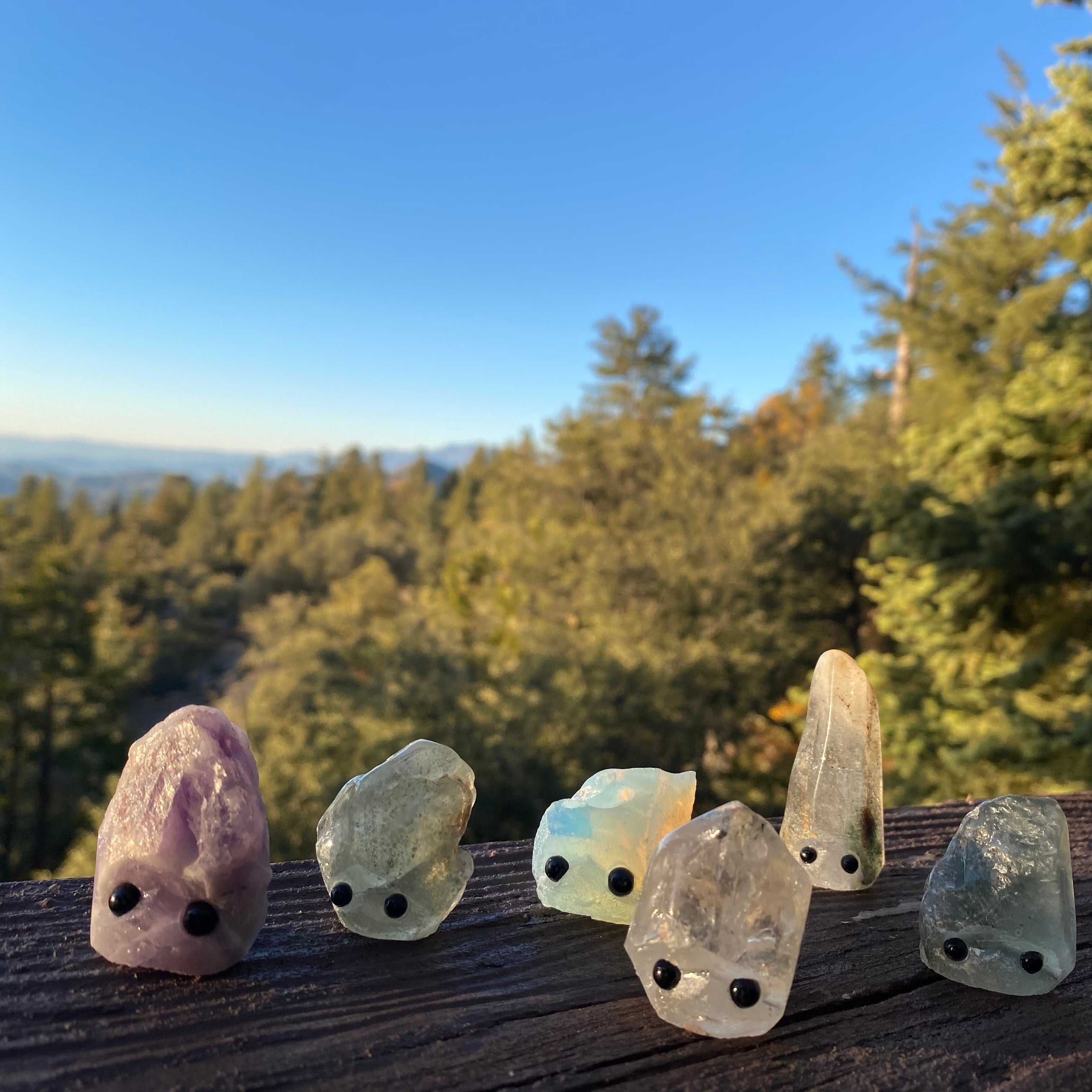 Stone Buddies & Rock Friends