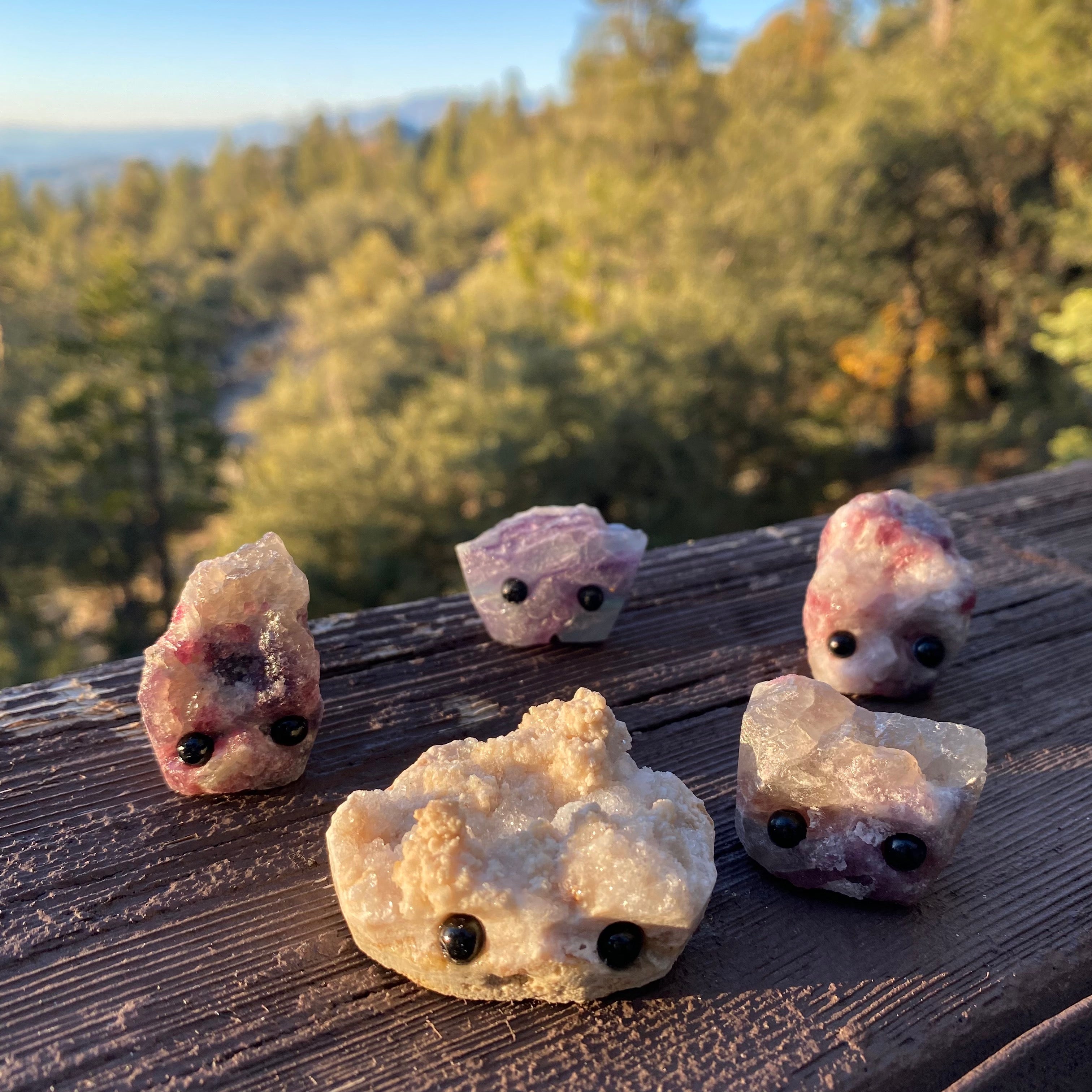 Stone Buddies & Rock Friends