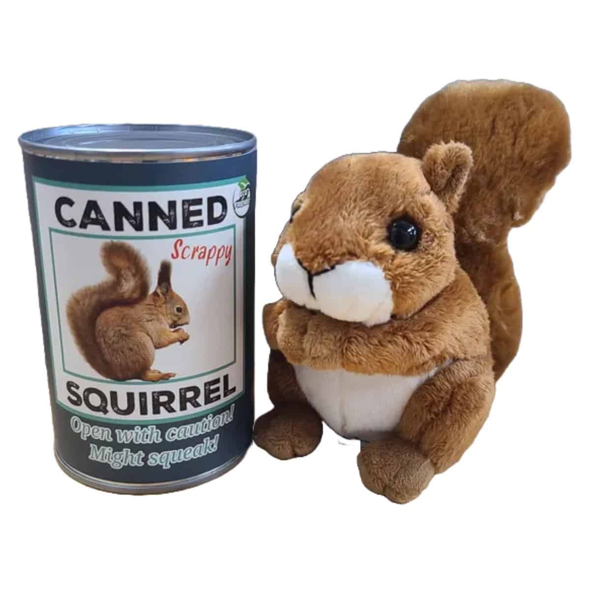 Canned Mountain Squirrel – Idyllwild Woodland Mischief Plush Collectible in a Can