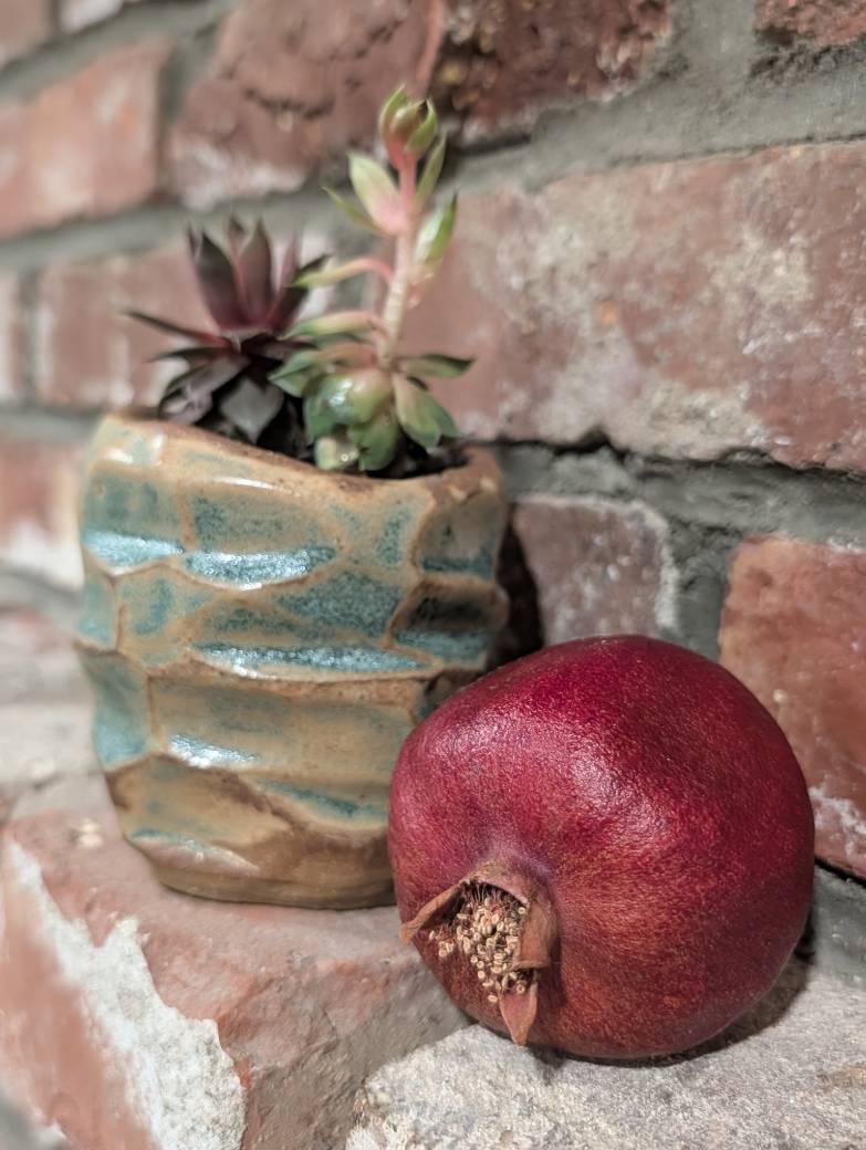 Unravel Arts,  Kurinuki Pot with tiny succulents
