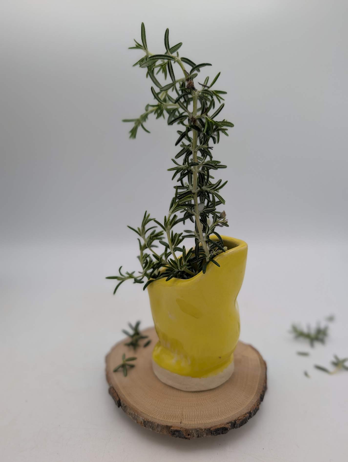 Unravel Arts Himachi Hand Pitcher