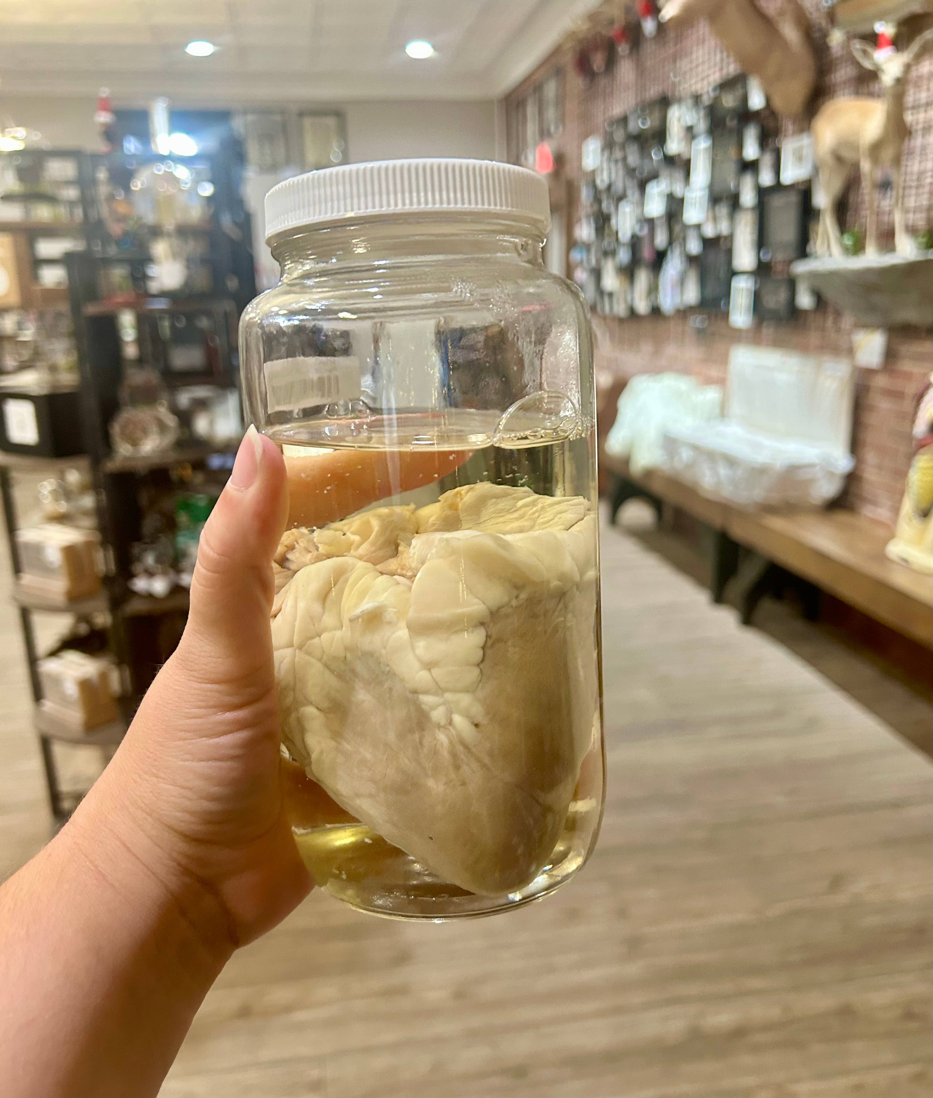 Sheep Heart Jar