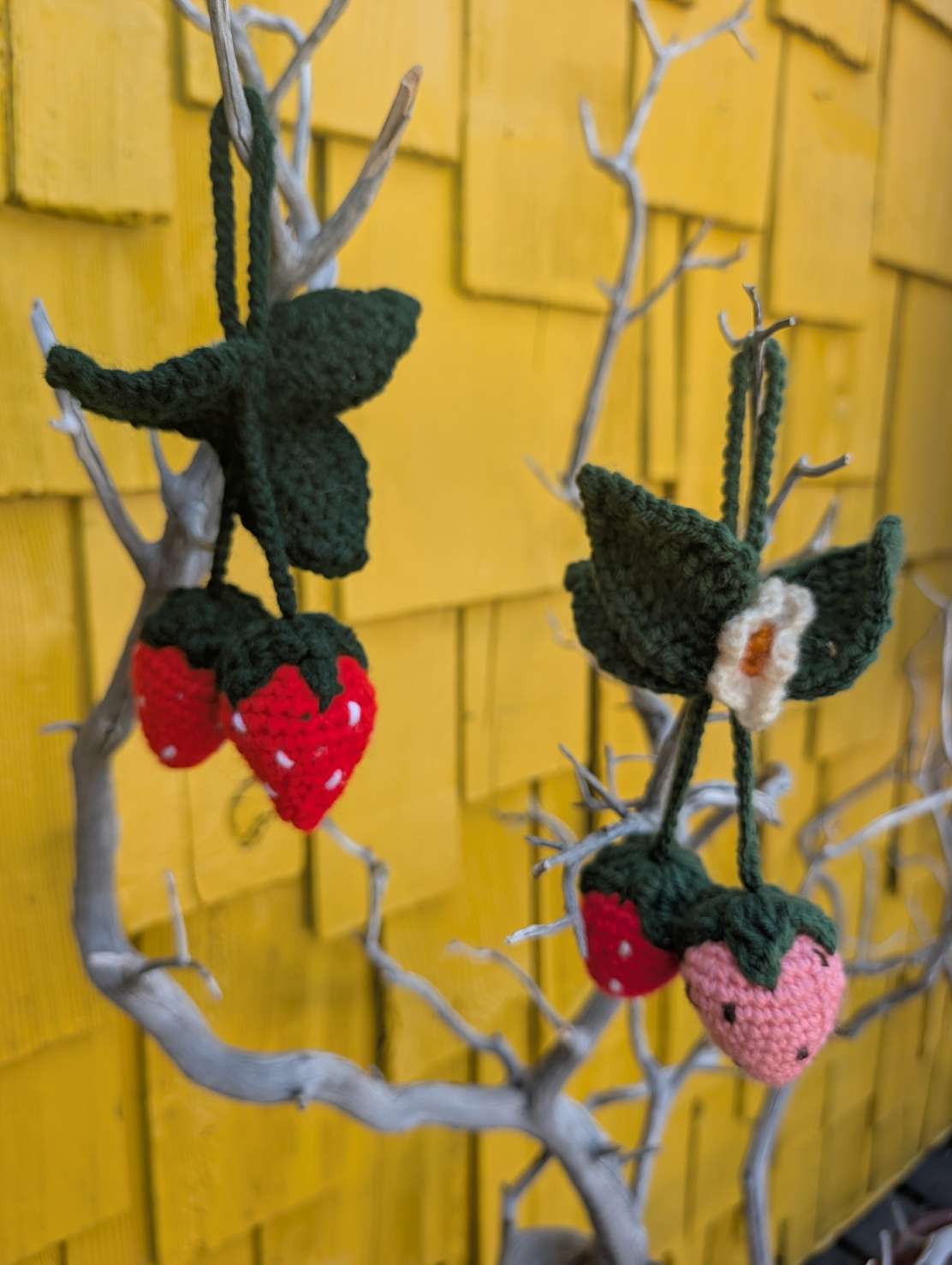 Strawberry Creek Crochet