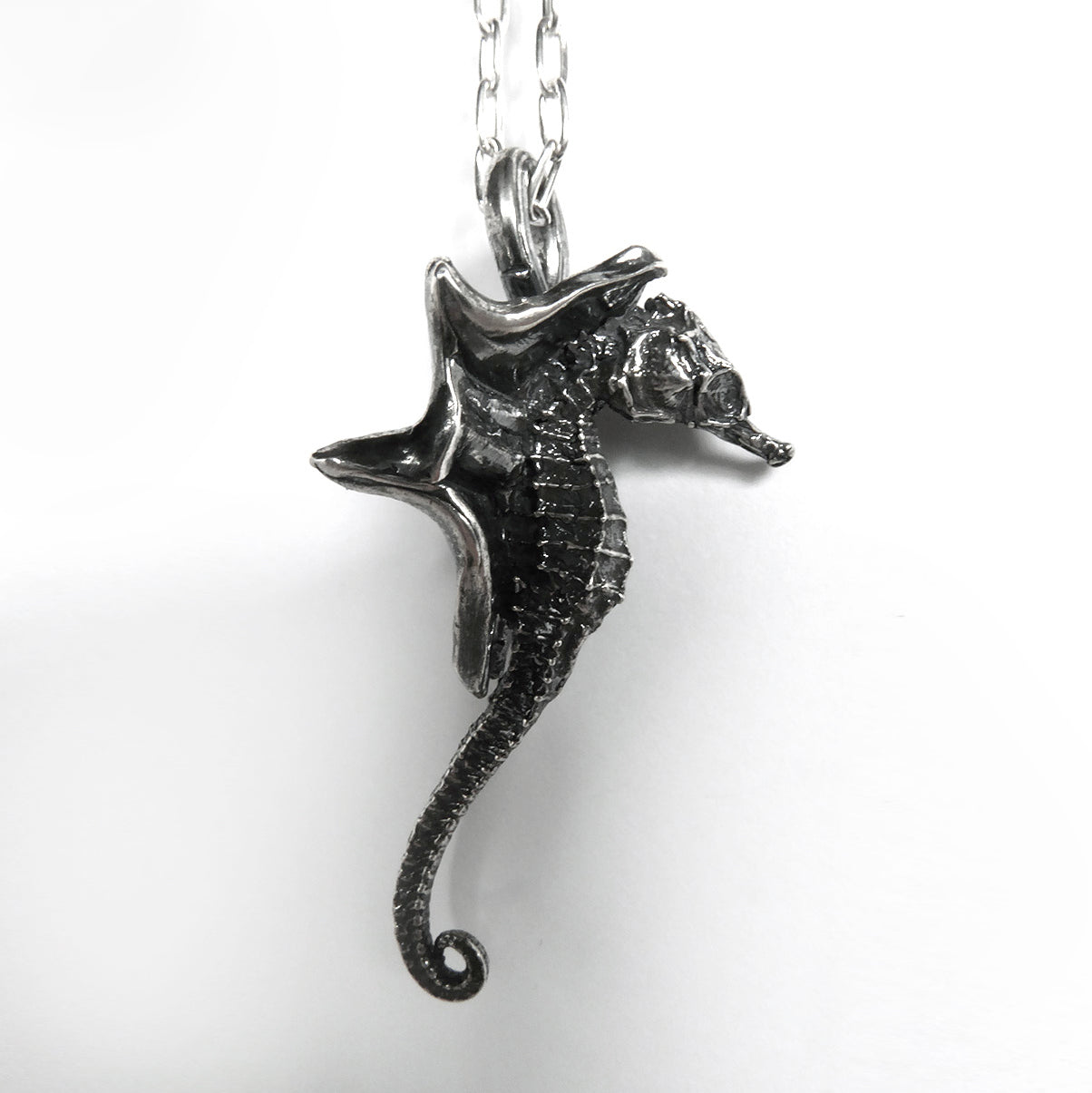 221 Winged Seahorse by DHG Emily Burton
