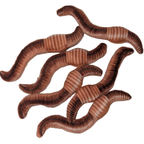 Can O' Worms - EcoFriendly Plush Gift for Fishermen w/Jokes