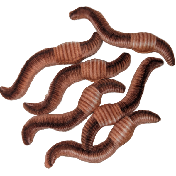 Can O' Worms - EcoFriendly Plush Gift for Fishermen w/Jokes