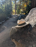 Distressed Fedora, J Crew