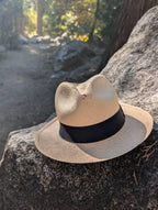 Distressed Fedora, J Crew