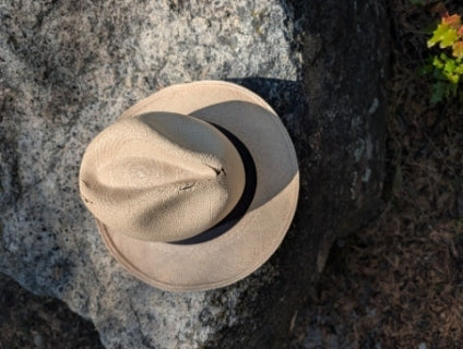 Distressed Fedora, J Crew