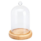 Cloche Glass Bell Jar with Solid Wood Base NEW SIZE