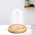 Cloche Glass Bell Jar with Solid Wood Base NEW SIZE