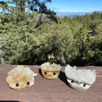 Sparkle Geode Buddy & Crystal Cluster Rock Friends