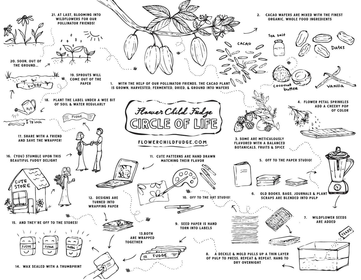A detailed illustrated poster titled 'Flower Child Fudge Circle of Life' with numbered steps, botanical drawings, and hand-drawn figures explaining flower cultivation and composting on a white background.