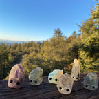 Stone Buddies & Rock Friends