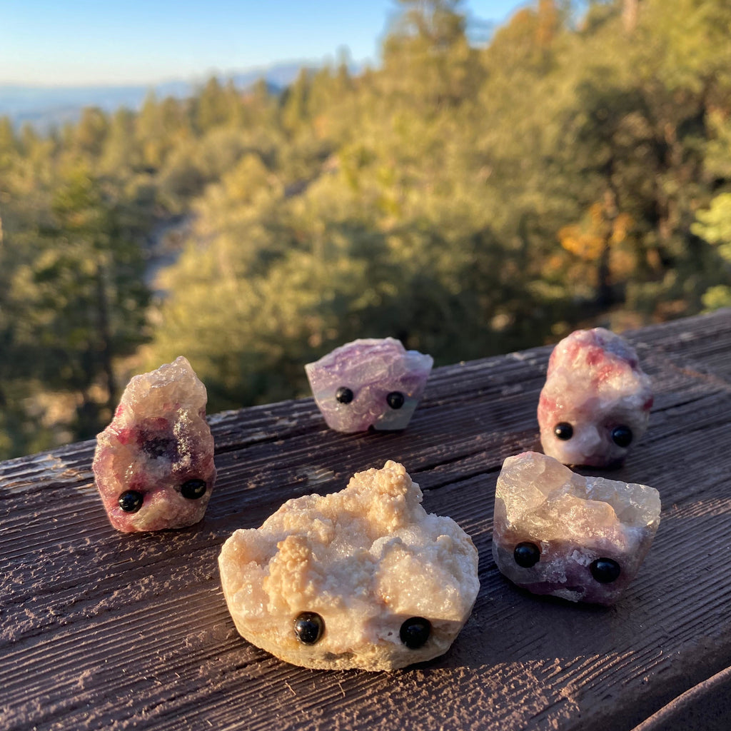 Stone Buddies & Rock Friends