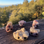 Stone Buddies & Rock Friends