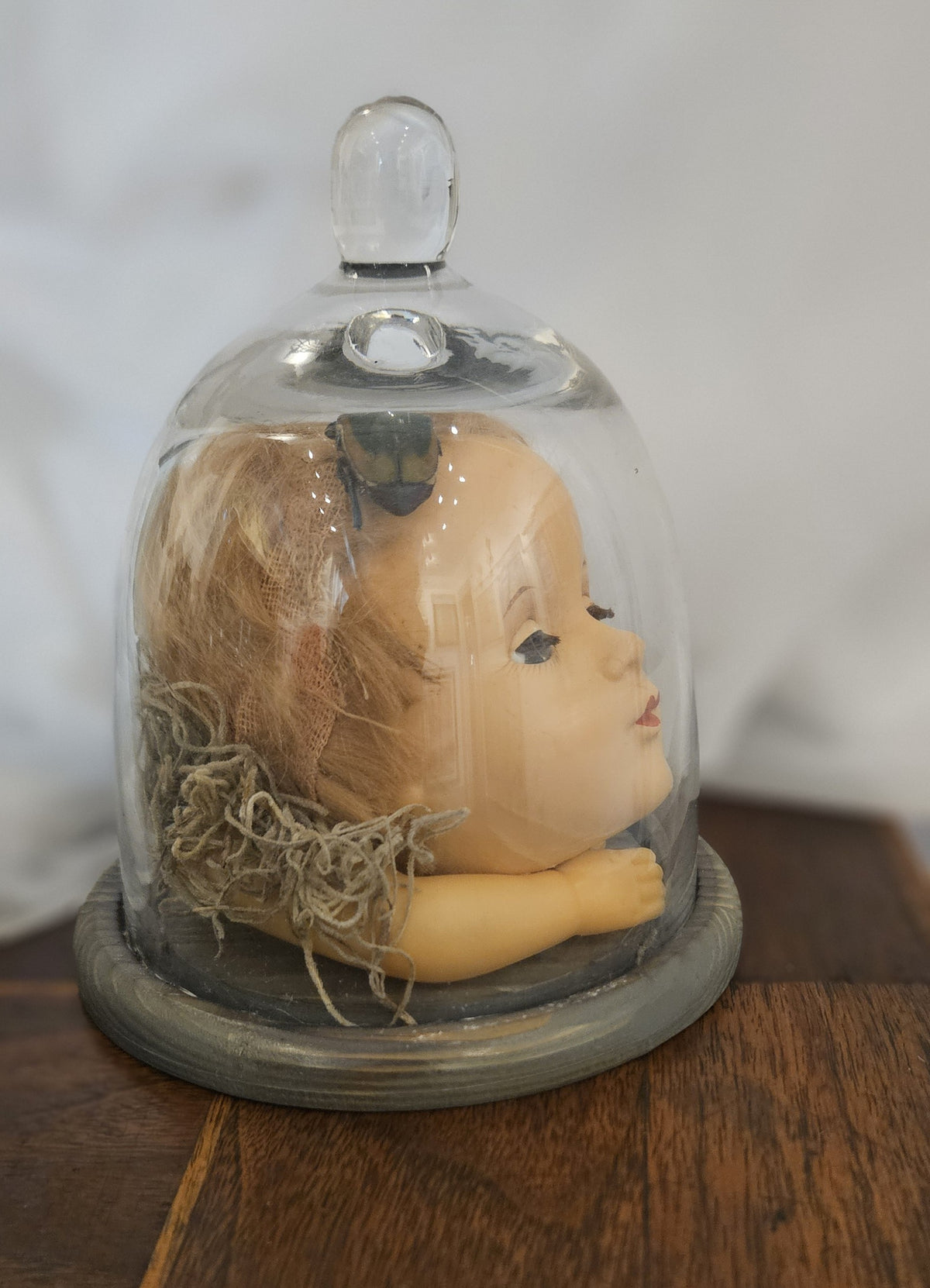 Vintage Doll Head Under Glass Cloche with Figeater Beetles – Cabinet of Curiosities & Dark Academia Decor