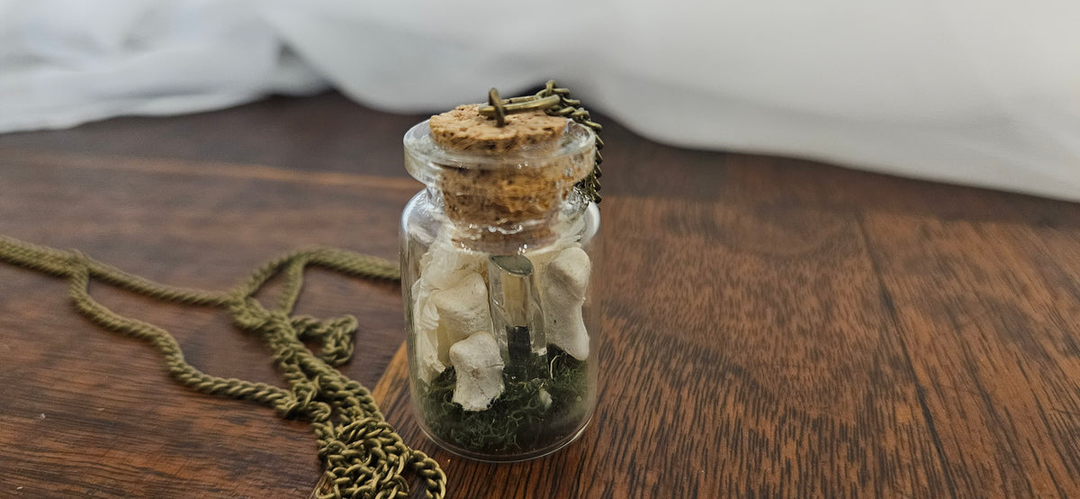 Miniature Bone & Crystal Glass Vial Necklace | Oddities Curiosity Jewelry