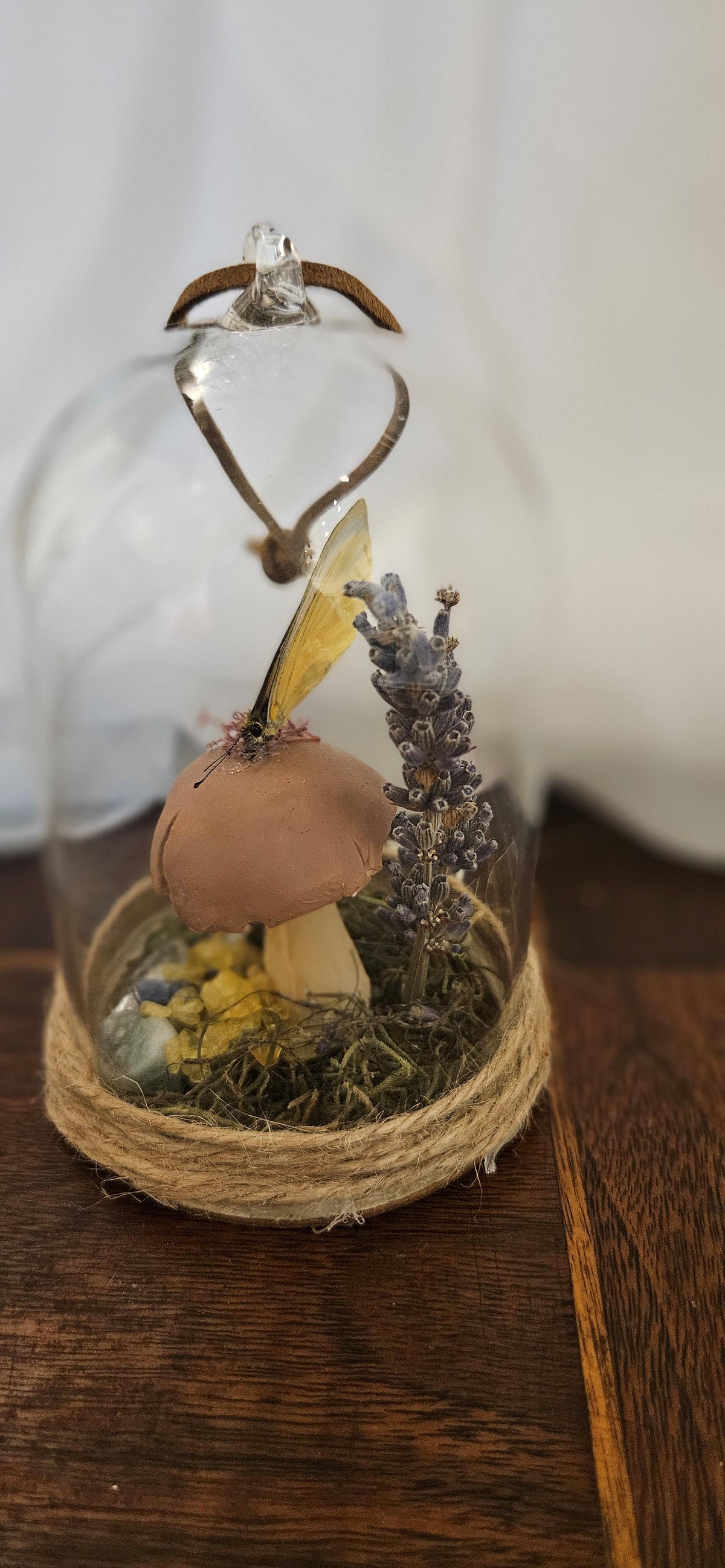 Preserved Butterfly & Mushroom Hanging Glass Cloche – Botanical Oddity & Cottagecore Decor