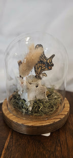 Handcrafted curiosity glass cloche display featuring a mounted butterfly perched on an animal vertebra bone with dried bunny tail grass and moss on a round wooden base.