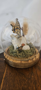 Preserved Butterfly & Vertebra Bone Cloche | Oddities Bell Jar Art