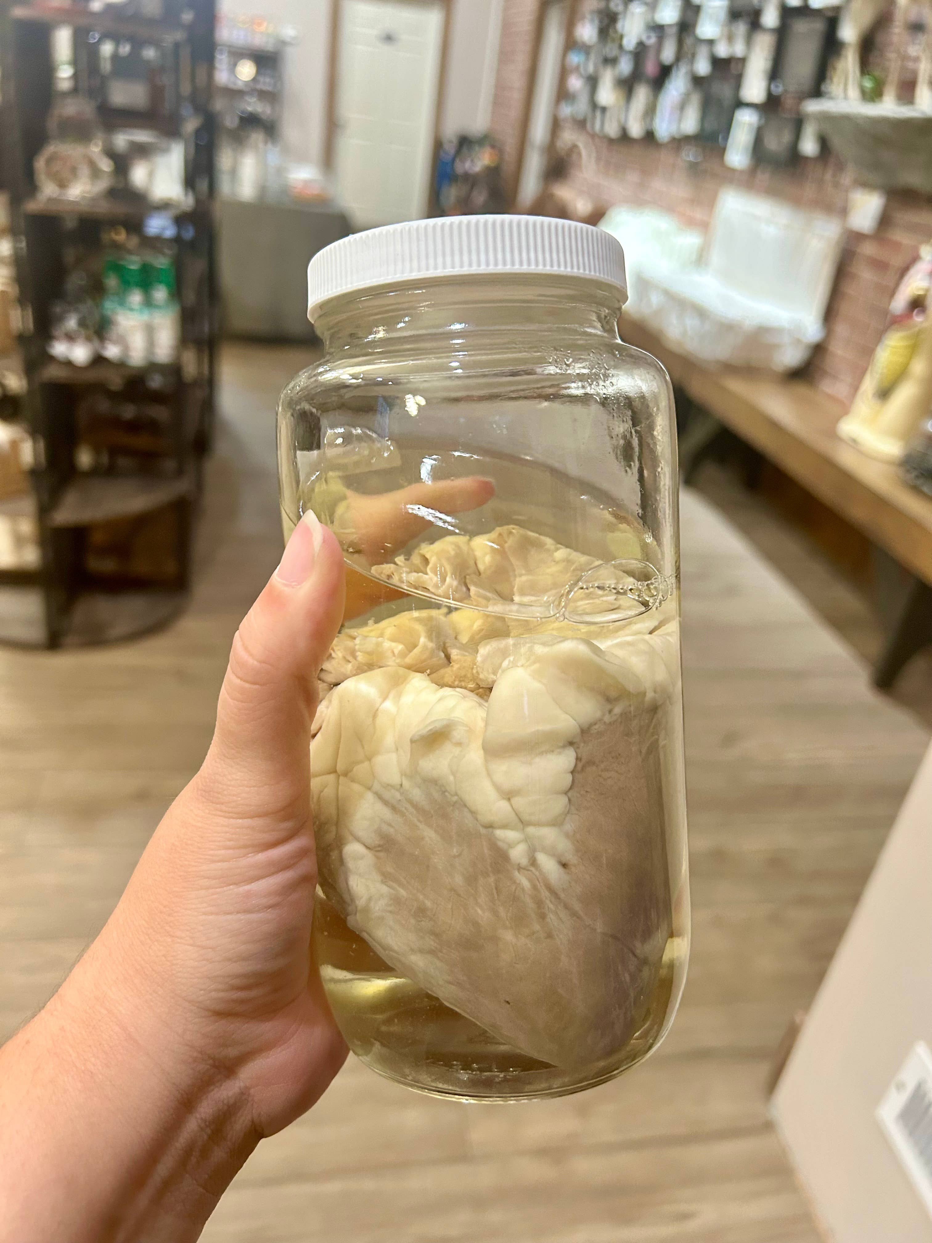 Sheep Heart Jar