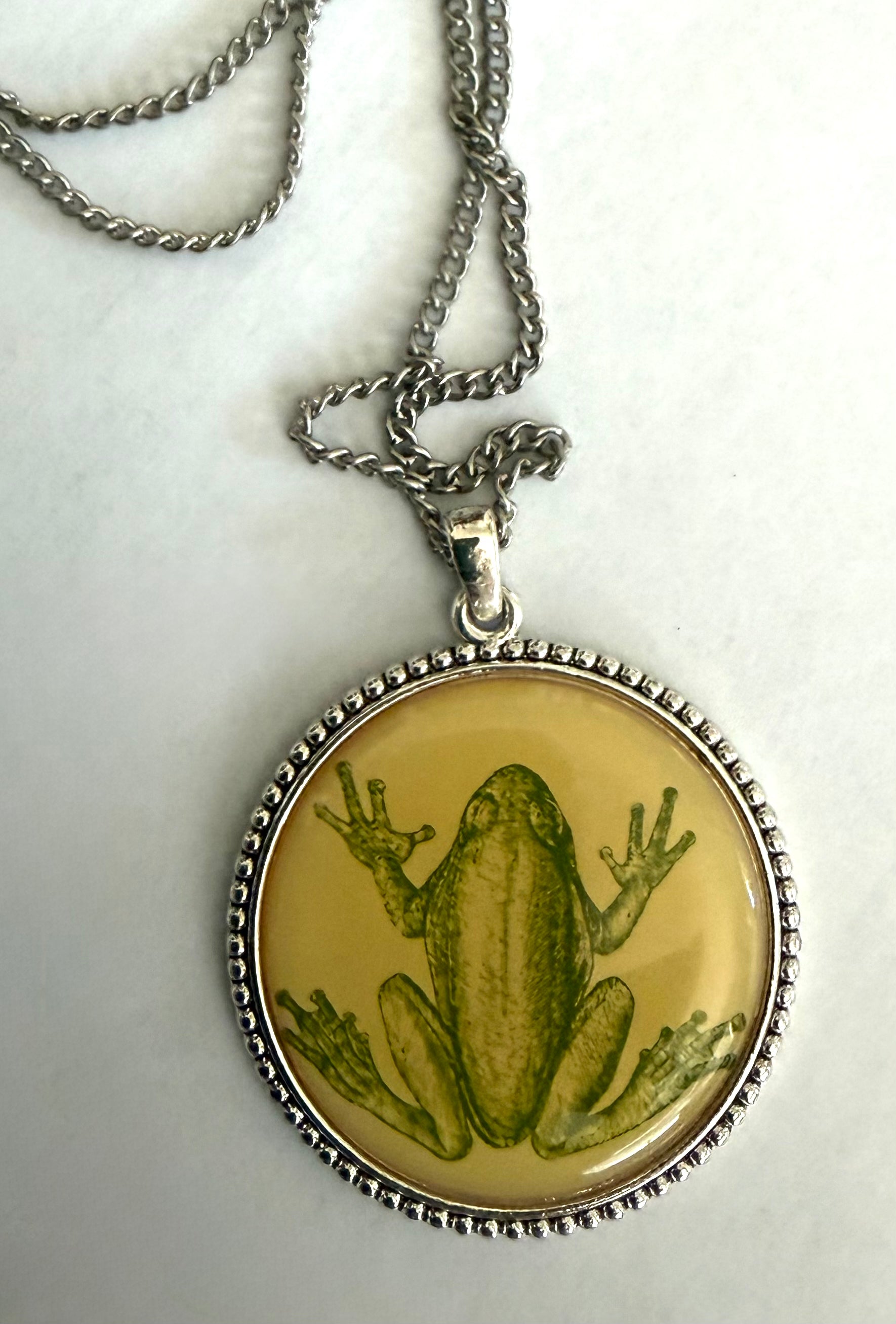 409 Frog in Resin Necklace by Jolene Paige
