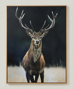 Visiting deer painting