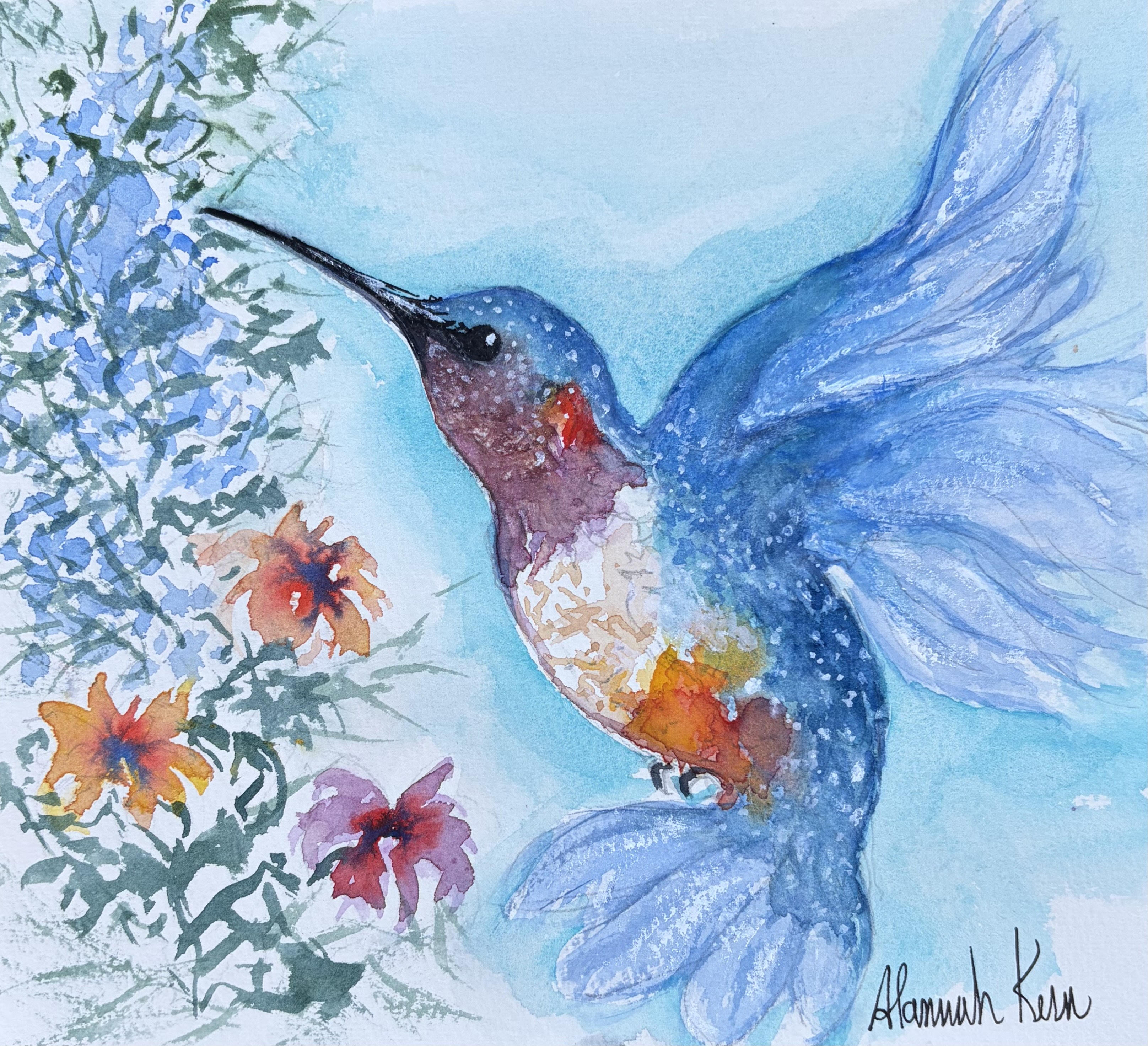 Hummingbird1 AK