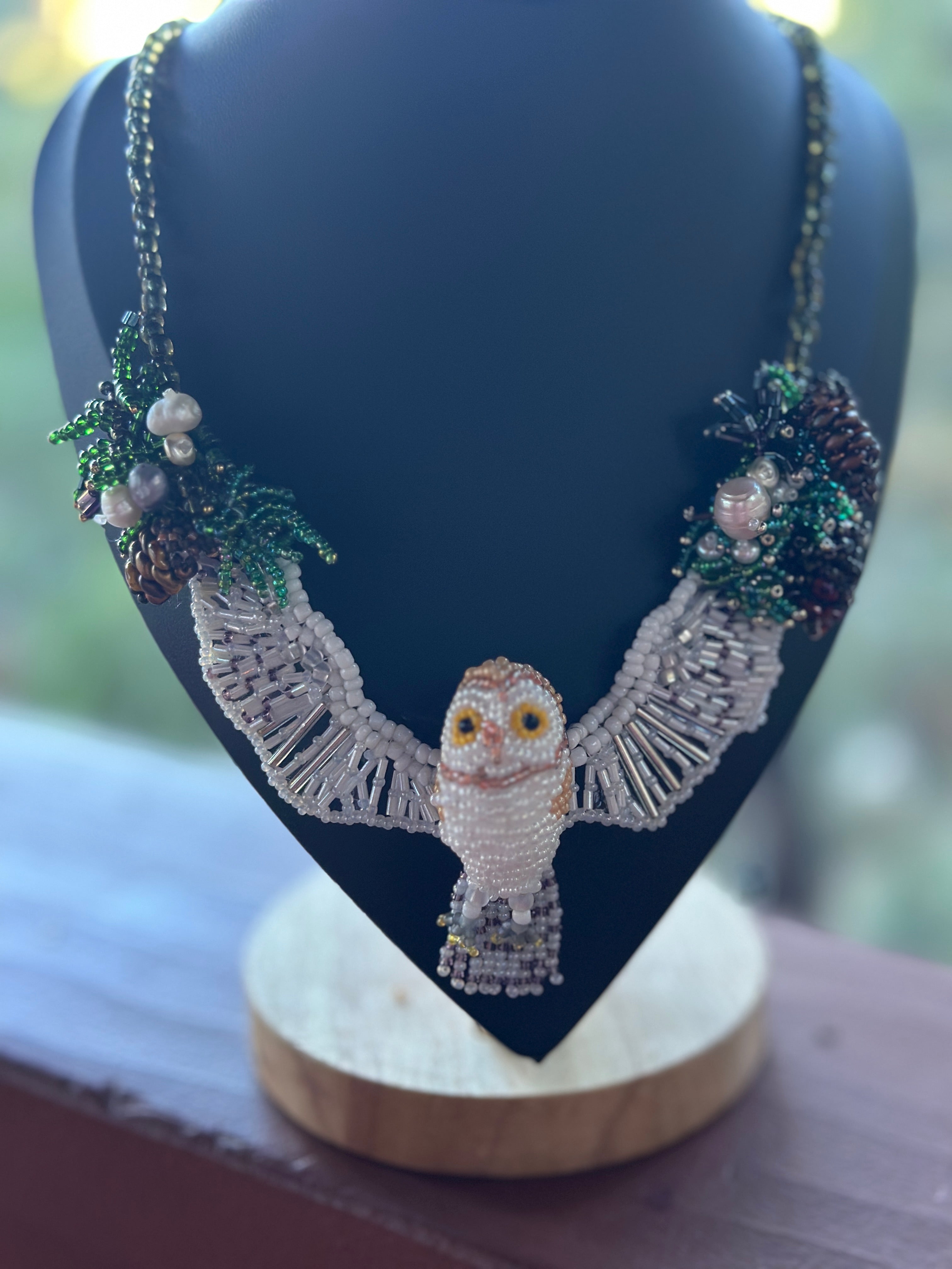 Barn Owl by Sheri Klintworth