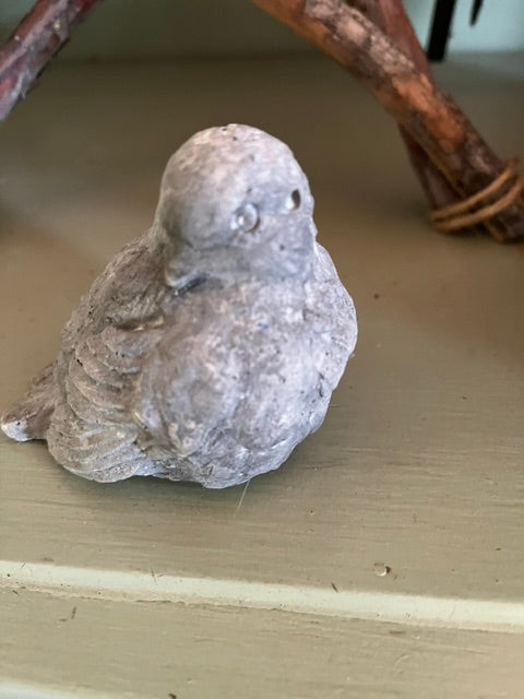 Little Bird
