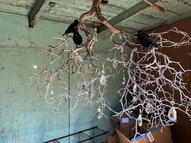 A gothic branch chandelier suspended from a rustic ceiling, featuring a large, natural sprawling tree branch structure with multiple realistic black crows perched on the limbs and elegant, clear crystal teardrop prisms hanging from the twigs.