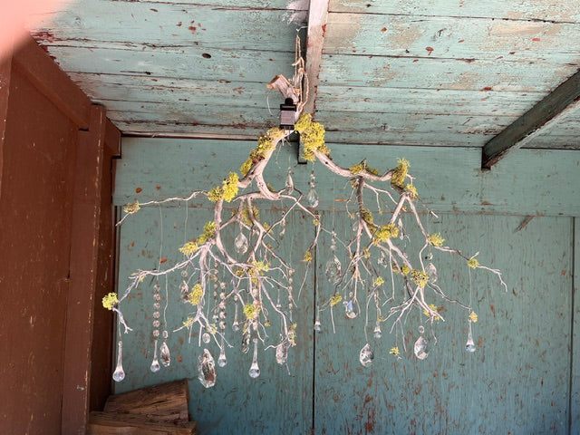 Cottage Core Mossy Chandelier