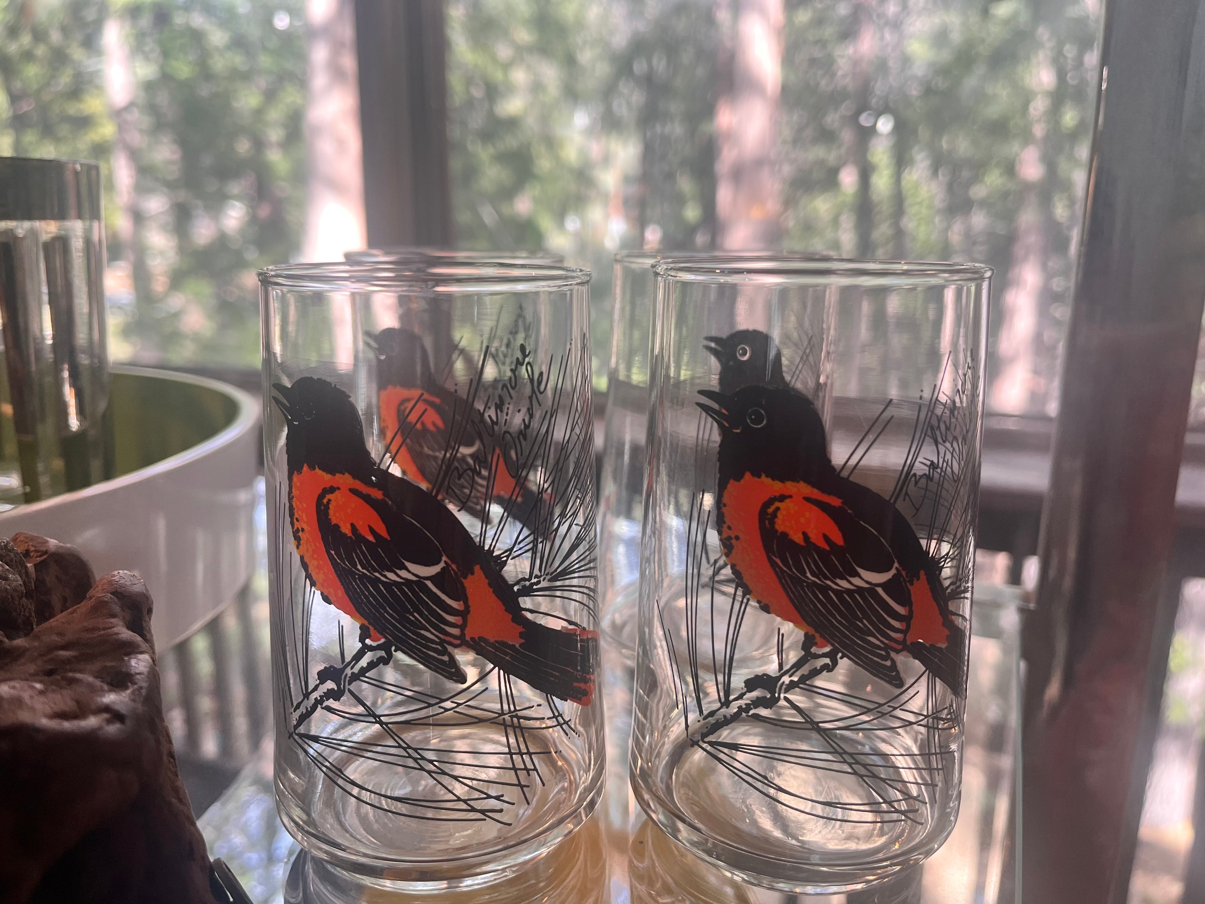 Set of 4 Vintage Baltimore Oriole Drinking Glasses