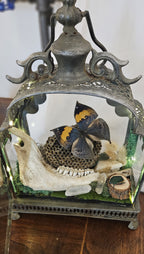Butterfly & Jawbone Oddities Metal Lantern | Vintage Wasp Comb Curio lights up.