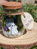 Adopt a Ghost - Large