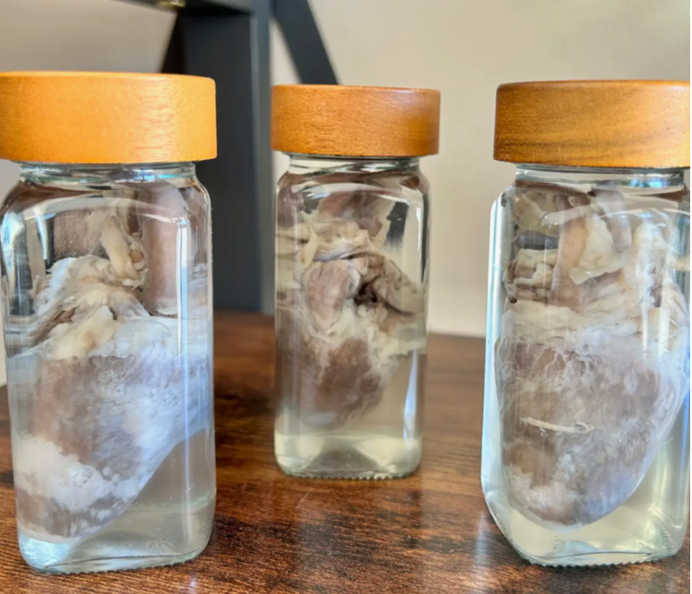 Turkey Heart Preserved in Jar