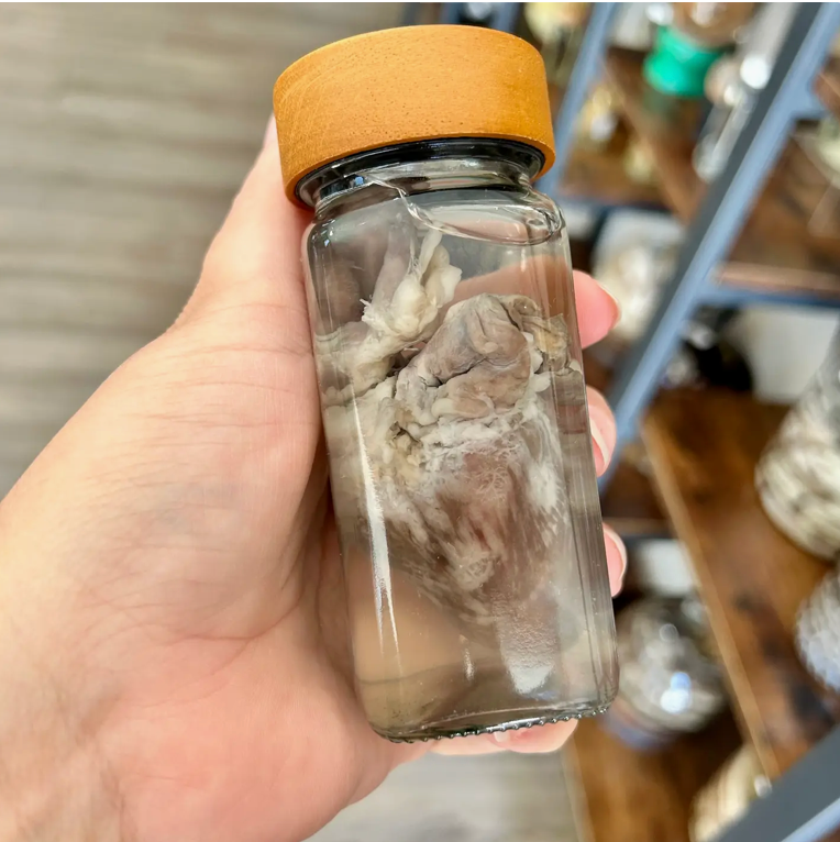 Turkey Heart Preserved in Jar