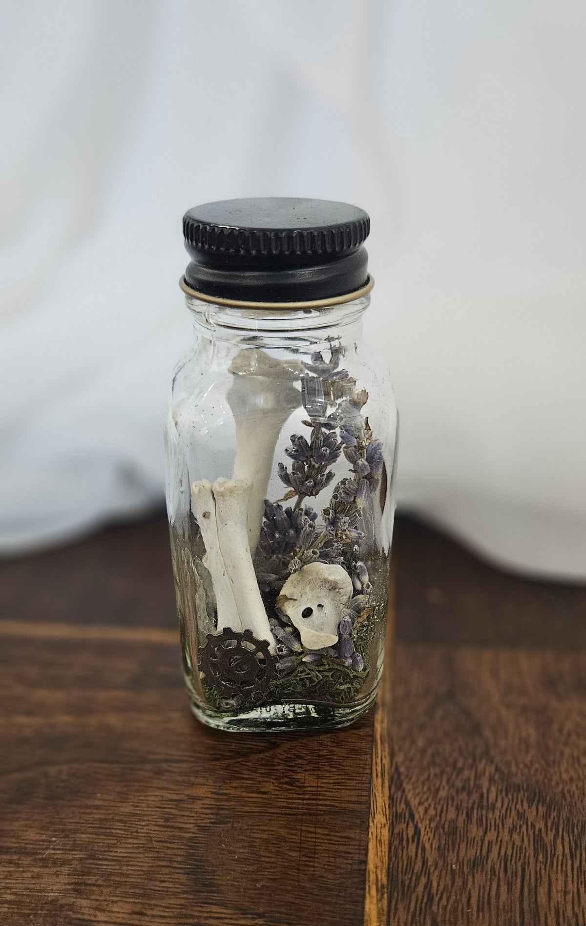 Handcrafted curiosity apothecary glass jar containing preserved white bones, dried lavender stalks, a small metal gear, and green moss with a black screw-on cap.
