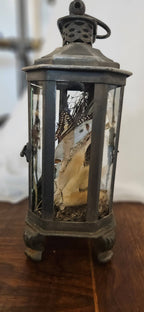 Preserved Butterfly & Bone Oddities Lantern | Gothic Curiosities Decor