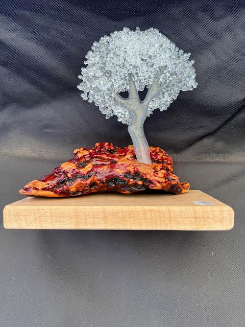 Manzanita Fusion  VV