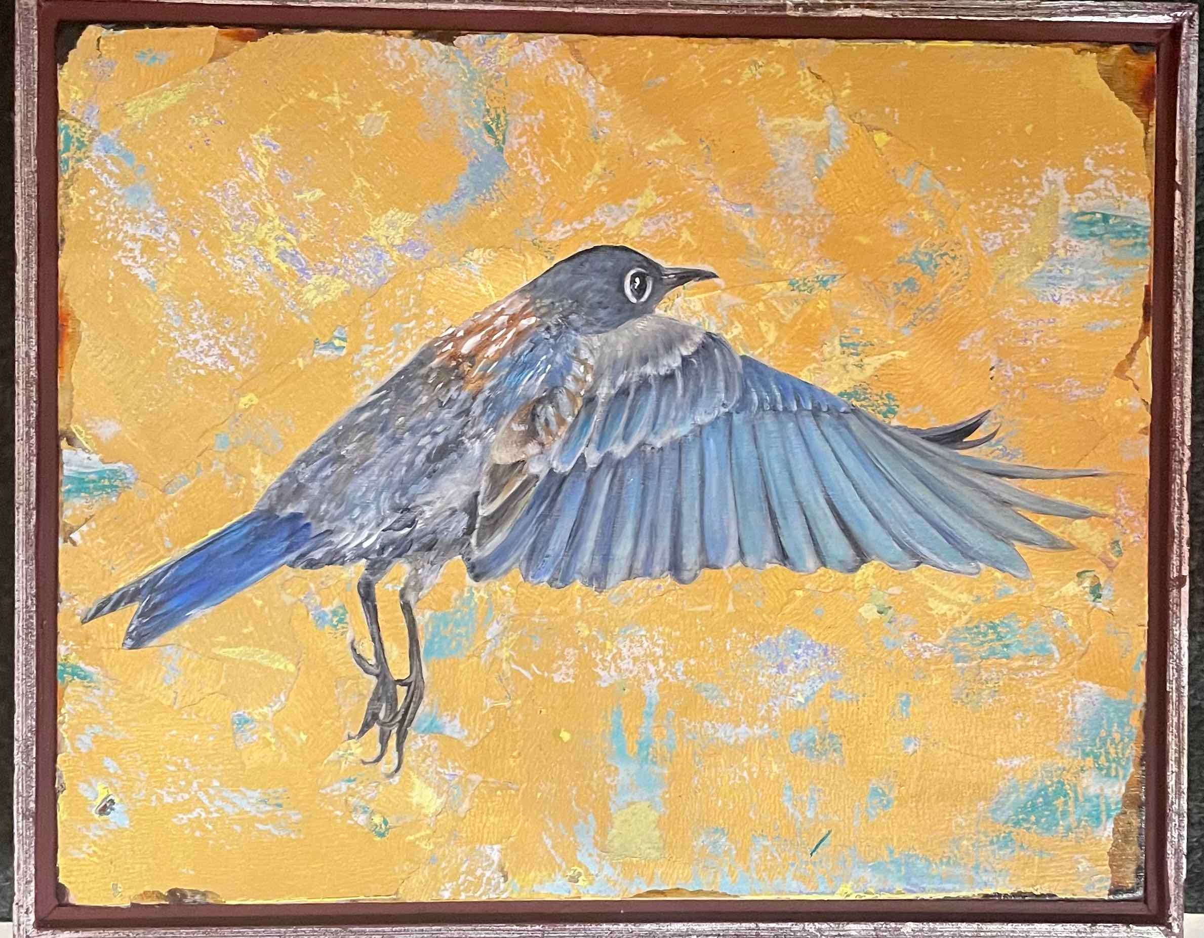 Western Bluebird
