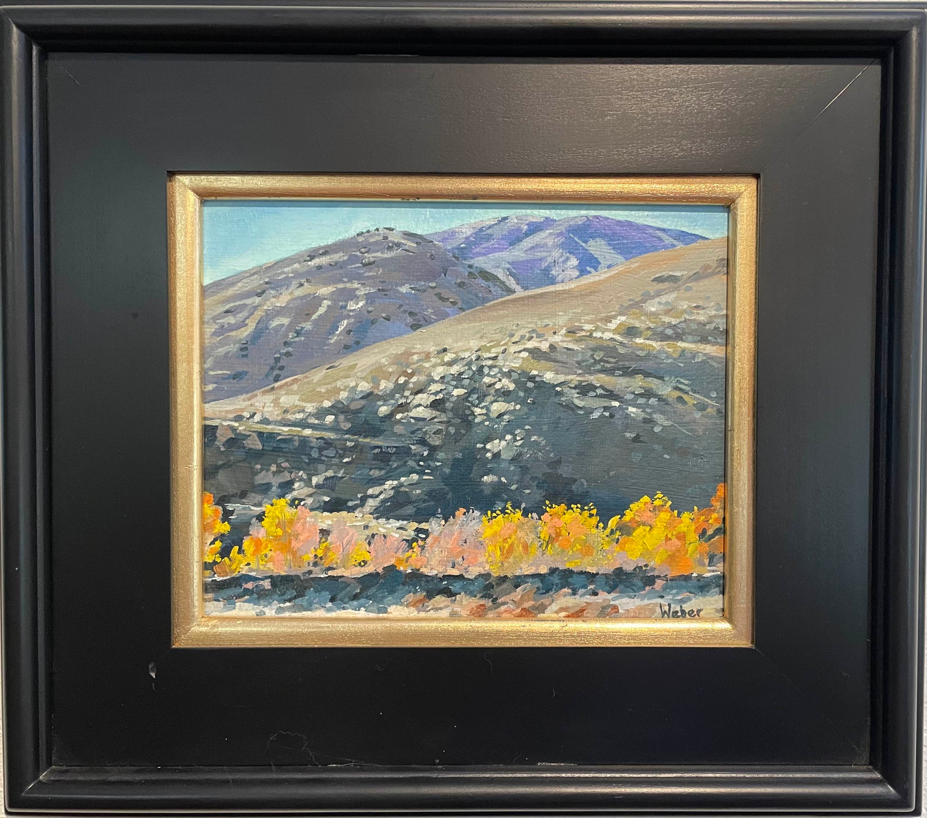 Whitewater Aspen